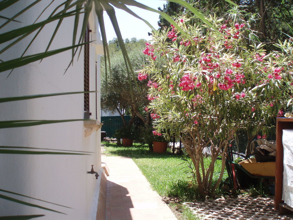 Apartamentos Osa Menor Cala D'Or Zewnętrze zdjęcie