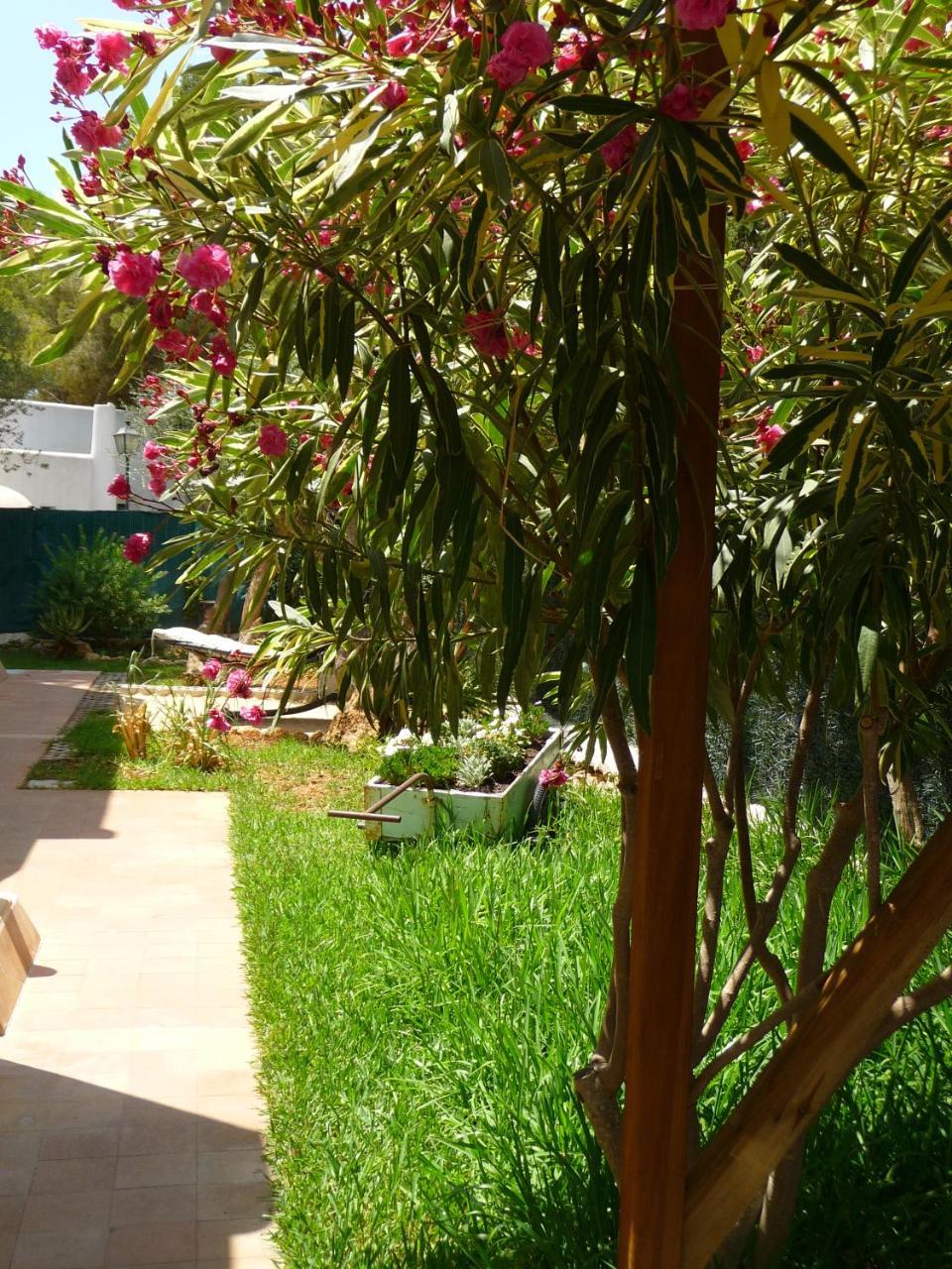 Apartamentos Osa Menor Cala D'Or Zewnętrze zdjęcie